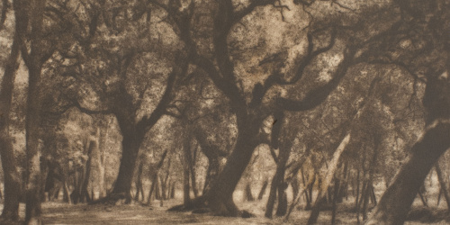 image for: Claudi Carbonell - Sense títol - No datat