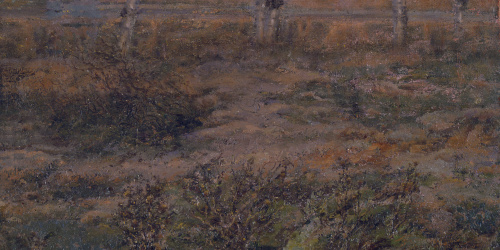 image for: Nicolau Raurich - El Prat de Llobregat - Cap a 1905