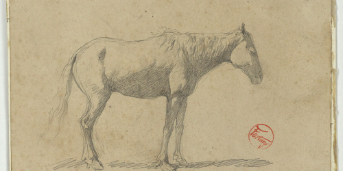 image for: Marià Fortuny - Cavall - Cap a 1860-1862