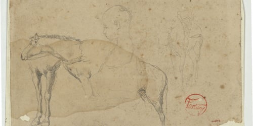 image for: Marià Fortuny - Cavalls i bust de nen - Cap a 1860-1862