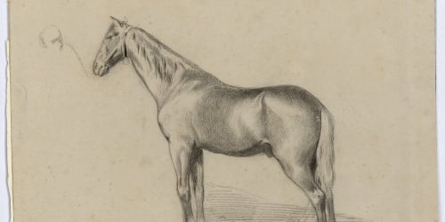 image for: Marià Fortuny - Euga del general Prim - Cap a 1860