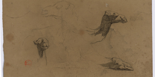 image for: Marià Fortuny - Estudi de camells (anvers) / Estudi de camells (revers) - Cap a 1862