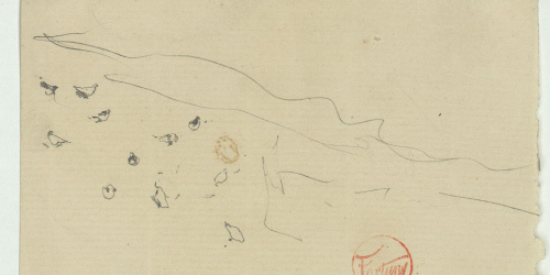 image for: Marià Fortuny - Croquis de coloms - Cap a 1867-1872