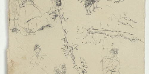 image for: Marià Fortuny - Figures femenines, flors i animals - Cap a 1874