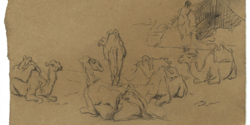 image for: Marià Fortuny - Camells - Cap a 1860-1862