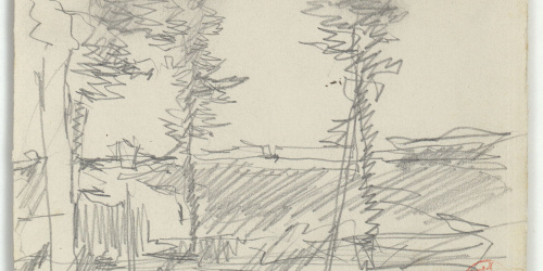 image for: Marià Fortuny - Arbres i mur - Cap a 1870-1874