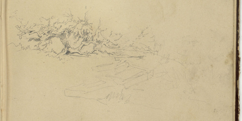 image for: Marià Fortuny - Matolls - Cap a 1862