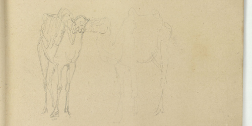 image for: Marià Fortuny - Camells - Cap a 1862