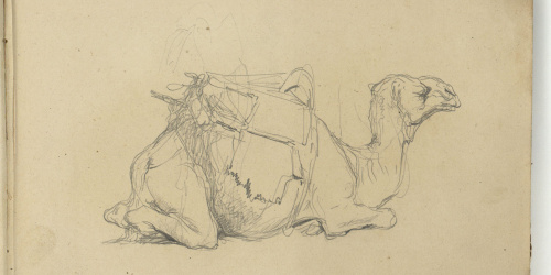 image for: Marià Fortuny - Estudi de camell - Cap a 1860-1862