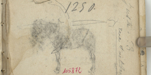 image for: Marià Fortuny - Esbós de cavall - Cap a 1870