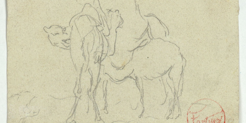 image for: Marià Fortuny - Camells - Cap a 1860-1862
