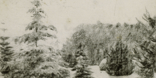 image for: Santiago Rusiñol - Estudi de jardí (anvers) / Estudi de cap masculí (revers) - Cap a 1891