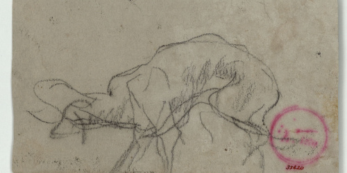 image for: Marià Fortuny - Esbós d&#039;ovella - Cap a 1866-1872
