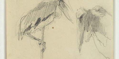 image for: Marià Fortuny - Marabús - Cap a 1870