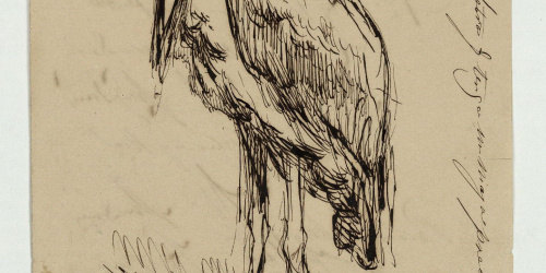 image for: Marià Fortuny - Marabú - Cap a 1863-1866