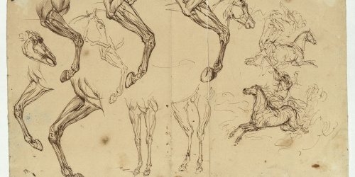image for: Marià Fortuny - Estudi de cavalls - Cap a 1860-1862