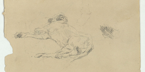 image for: Marià Fortuny - Gos ajagut (anvers) / Esbós d'ocell (revers) - Cap a 1868-1870