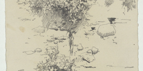 image for: Marià Fortuny - Tàpia i matolls - Cap a 1867-1872