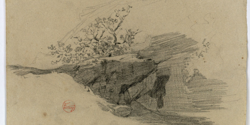 image for: Marià Fortuny - Roca amb matolls - Cap a 1860-1862