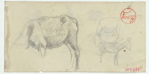 image for: Marià Fortuny - Rucs (anvers) / Ànecs i gallines (revers) - Cap a 1870-1872