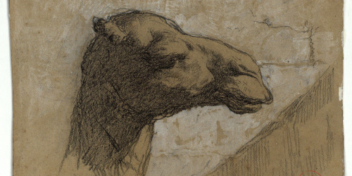 image for: Marià Fortuny - Cap de camell (anvers) / Esbós de figures (revers) - Cap a 1860-1862