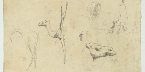 image for: Marià Fortuny - Estudi de camells i figures (anvers) / Camells (revers) - Cap a 1860-1862