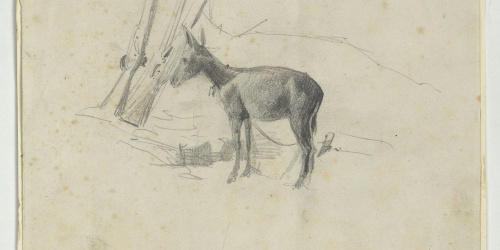 image for: Marià Fortuny - Ruc - Cap a 1860-1862