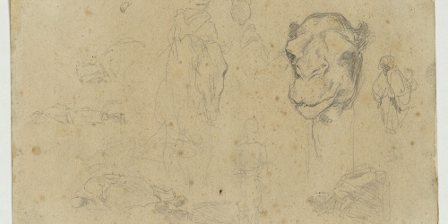 image for: Marià Fortuny - Esbós de marroquins i cap de camell - Cap a 1860-1862