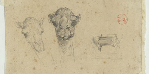 image for: Marià Fortuny - Caps de camell - Cap a 1860-1862
