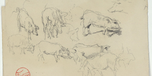 image for: Marià Fortuny - Estudi per al quadre «Els porcs» - Cap a 1872