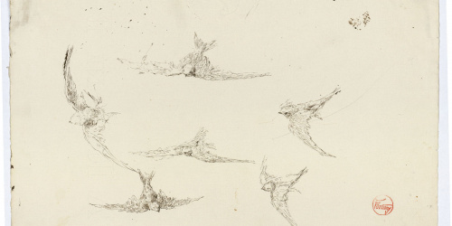 image for: Marià Fortuny - Falciots - Cap a 1872-1874