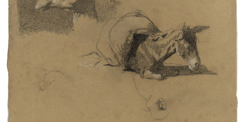 image for: Marià Fortuny - Cap de camell i ruc (anvers) / Estudi de camell (revers) - Cap a 1862