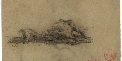 image for: Marià Fortuny - Ruc ajagut - Cap a 1867-1872