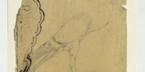 image for: Marià Fortuny - Calc d&#039;un arabesc i de la figura d&#039;un colom - Cap a 1863-1872