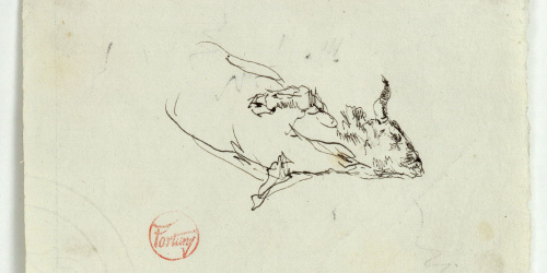 image for: Marià Fortuny - Estudi per al quadre «L&#039;escorxador de Portici» - Cap a 1874