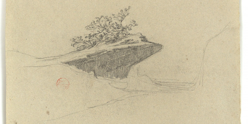 image for: Marià Fortuny - Roca amb matolls - Cap a 1860-1862