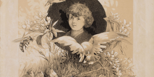 image for: Alexandre de Riquer - Retrat de nen entre aus i motius vegetals - Cap a 1890-1900