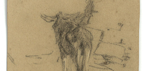 image for: Marià Fortuny - Ruc (anvers) / Esbós de rucs (revers) - Cap a 1860-1862