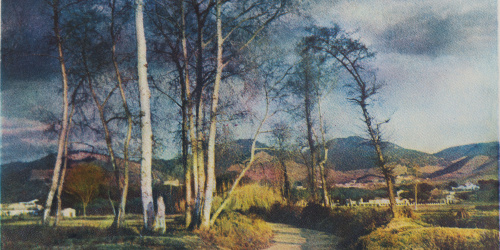 image for: Josep Maria Casals i Ariet - Mollet - Cap a 1935