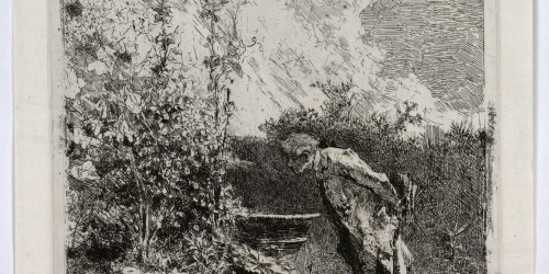 image for: Marià Fortuny - El botànic - Cap a 1868-1869