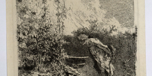 image for: Marià Fortuny - El botànic - Cap a 1868-1869