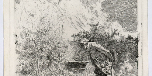 image for: Marià Fortuny - El botànic - Cap a 1868-1869