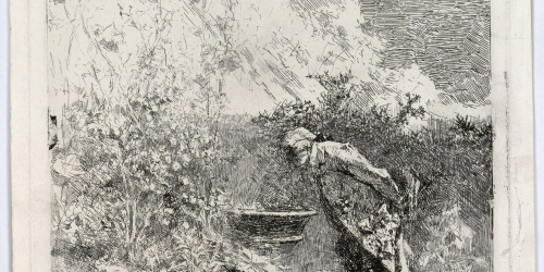 image for: Marià Fortuny - El botànic - Cap a 1868-1869