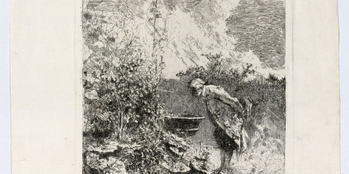 image for: Marià Fortuny - El botànic - Cap a 1868-1869