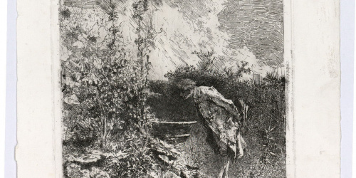 image for: Marià Fortuny - El botànic - Cap a 1868-1869