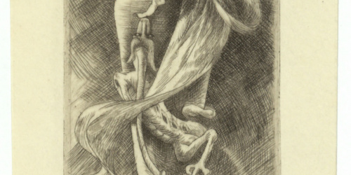 image for: Alexandre de Riquer - Ex-libris Luis M. Febrer - 1903