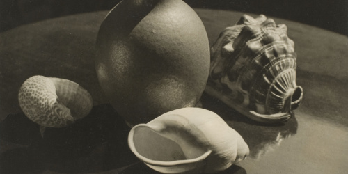 image for: Otho Lloyd - [Natura morta] - Cap a 1944