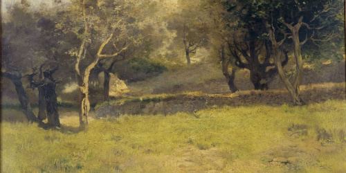 image for: Josep Masriera - Paisatge - 1903