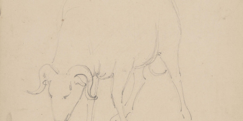 image for: Claudi Lorenzale - Cabra - Cap a 1850-1870