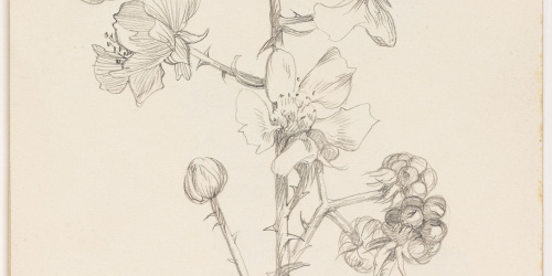 image for: Alexandre de Riquer - Esbarzer - 1920